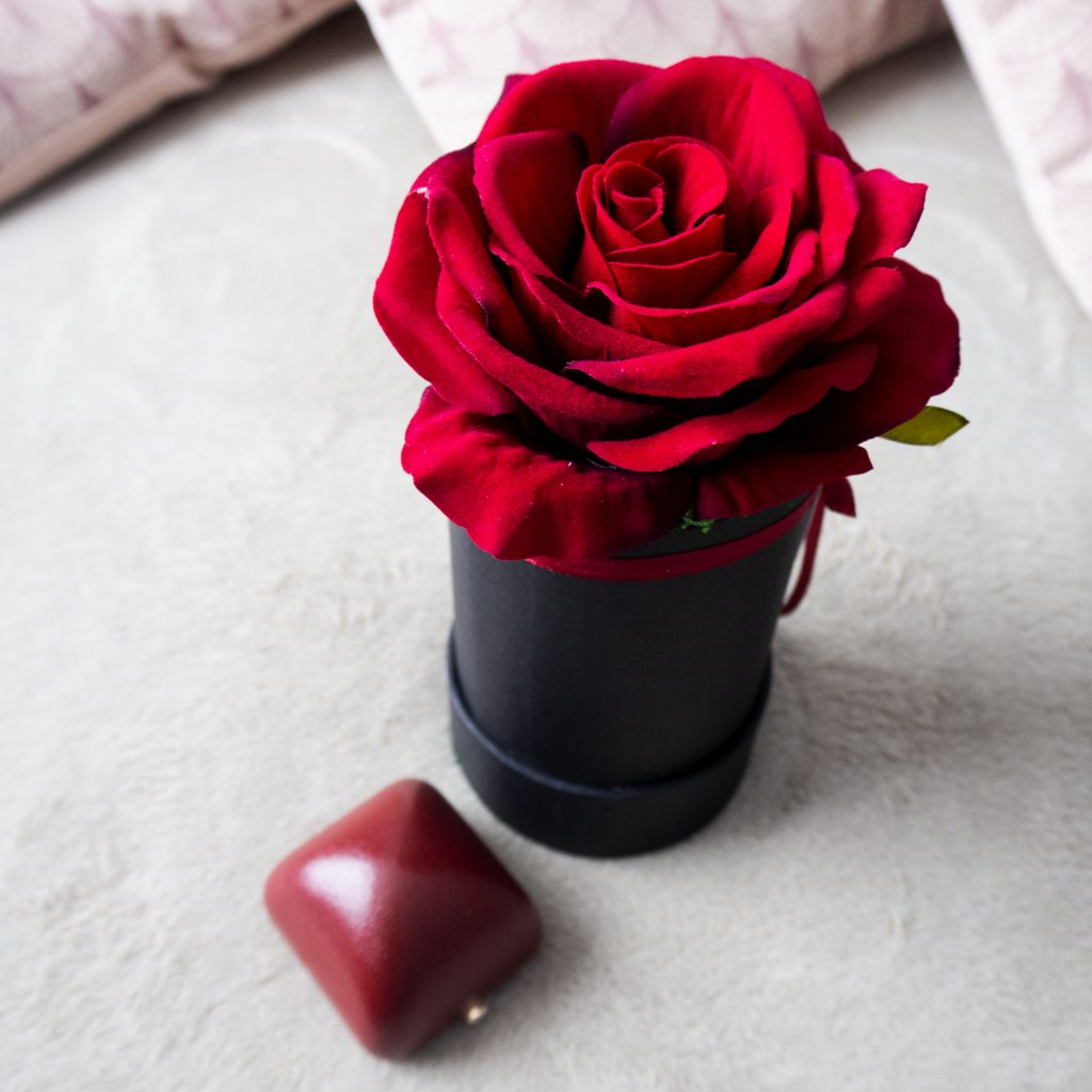 róża welur w pięknym pudełku
