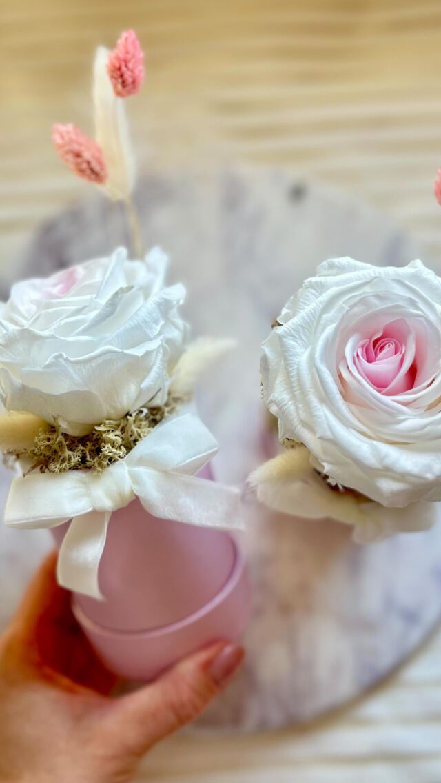 🩷Mini boxiki z wieczną, żywą różą XL w przepięknym śmietankowym kolorze z różowym środkiem🩷🤍  #flowerbox #wiecznaroza #różawpudełku #wiecznaróża #prezent #kwiatowyprezent  🩷  • Żywa wieczna róża • wieczna róża w pudełku • flower box na prezent • prezent ręcznie robiony • żywe wieczne róże • biała róża