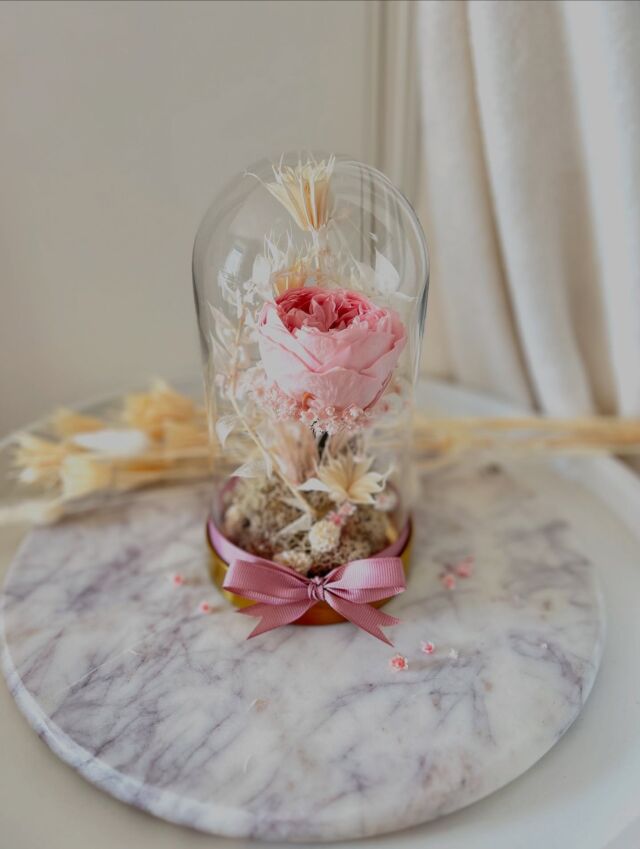 ✨Wieczna, żywa Piwonia z suszem naturalnym w szklanym kloszu dostępna na stronie😊🌸✨  #piwonia #naturalniepiekna #wiecznekwiaty #piwonia #piwoniawkloszu #kompozycjakwiatowa #kompozycjawszkle #laswszkle #susz #susznaturalny #dekoracjadomu #recznierobione  ✨  • Wieczna żywa piwonia w szklanym kloszu • kompozycja kwiatowa w szkle • susz naturalny #wieczna róża w szklanym kloszu # naturalnie piękne